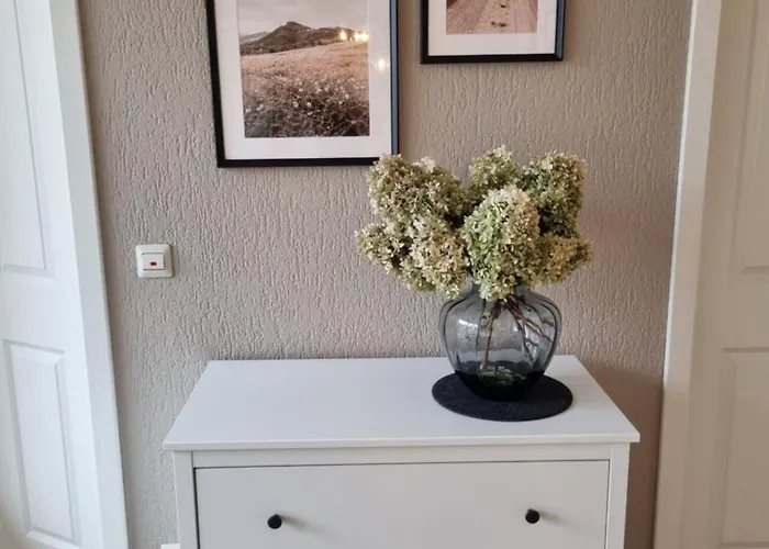 Springer In Ot Grossziethen Div Fuer Bis Zu 6 Personen 쇼네펠드